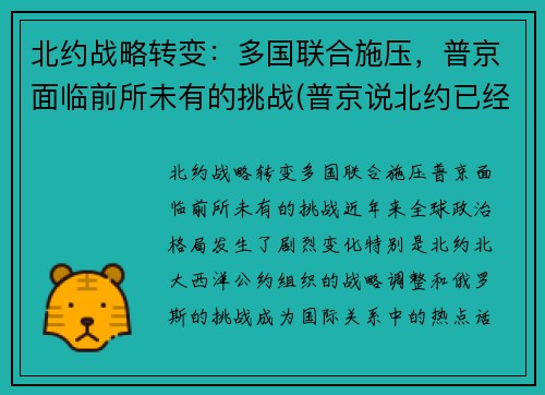北约战略转变:多国联合施压,普京面临前所未有的挑战(普京说北约已经没有存在的必要了)