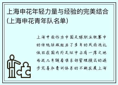 上海申花年轻力量与经验的完美结合(上海申花青年队名单)